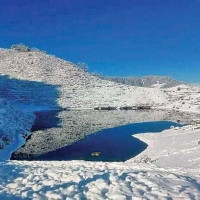 Ward office locked after  ward chair’s absence