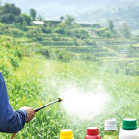 Preserving Gorkhapatra  As A National Heritage