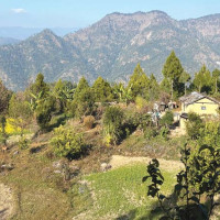 Preserving Gorkhapatra  As A National Heritage