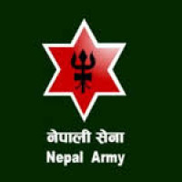 Gulmi farmers produce oranges worth over Rs. 240 million