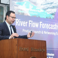 Karnali posts 176-run target for Chitwan in NPL Eliminator