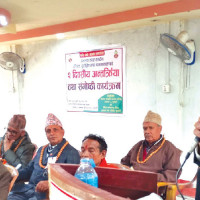 Two succumb to dengue in Jhapa