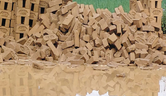 Rains damage millions of bricks