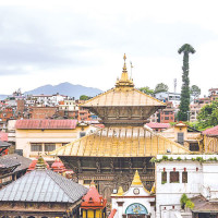 Dashain - the festival of togetherness