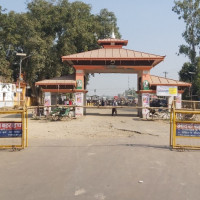 Woman killed in tiger attack