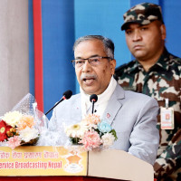 One killed in elephant attack in Morang