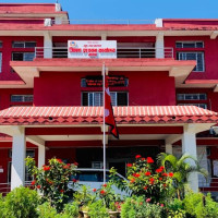 Blooming Marigold flowers