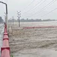 Nepal wants to build close partnership with Japanese private sector: President Poudel