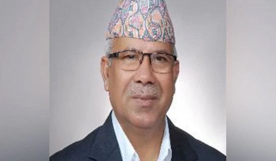Unity among parties with honest leftist ideology: Chair Nepal