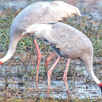 Seven enterprises honoured for promoting occupational safety