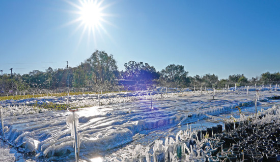 More frigid temperatures expected in US