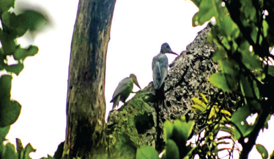 China raises retirement age for first time since 1950s