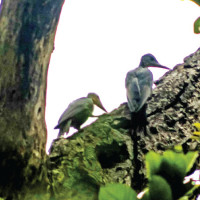 Prime Minister vows to restore broken institutions