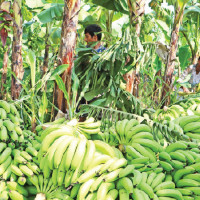 Subedi's 'Paridhi' creates distinct periphery