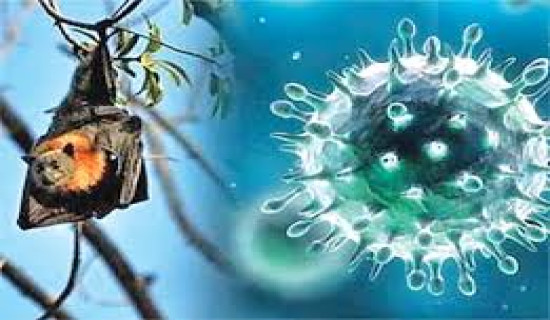 Cheers To Nepali Films