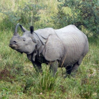 End Anomalies In  Education System