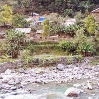 EC signs MoU with TikTok to curb misleading information on election