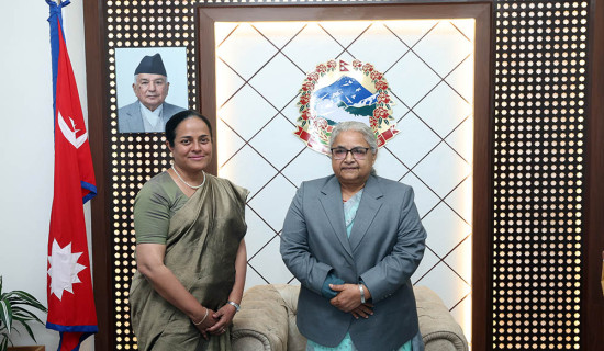 Construction of Miteri Bridge including other structures begins