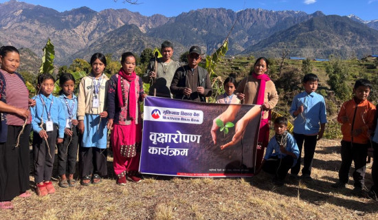 Lumbini world peace forum joins hands with Muktinath Bikas Bank limited for plantation drive in Dailekh
