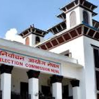 70 per cent trees cut down for construction of Sagarmatha  Domestic Airport