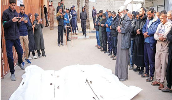 Over 550 killed after Gaza ceasefire