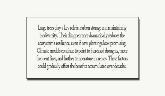 Post- Assad anxiety shadows Syrian Shiite refugee compound