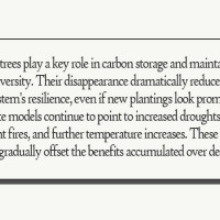 Cold and flu patients up in Humla