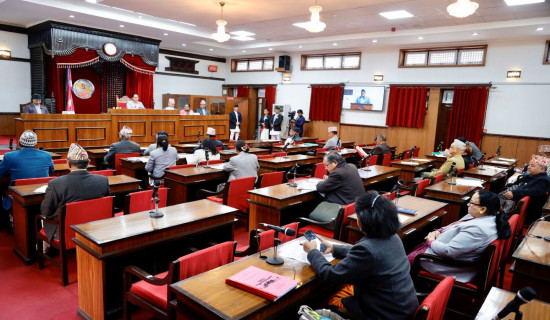 NC President Thapa calls for addressing public discontent and anger through reform