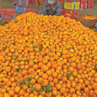 PM Oli receives traditional  invitation for National Jyapu Day