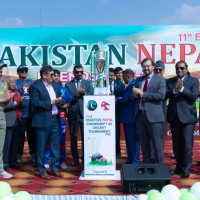 Sole Swallow, No Summer Sight