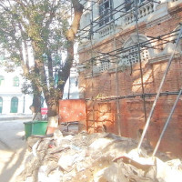 Decline in paddy production puts rice  self-reliance at risk