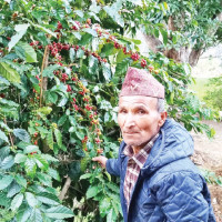 Thapa calls for health insurance reform