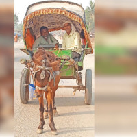 15-bed hospital introduces service in Gulmi Durbar