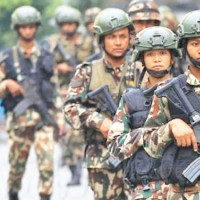 Gaur sees decline in horse-drawn carriages