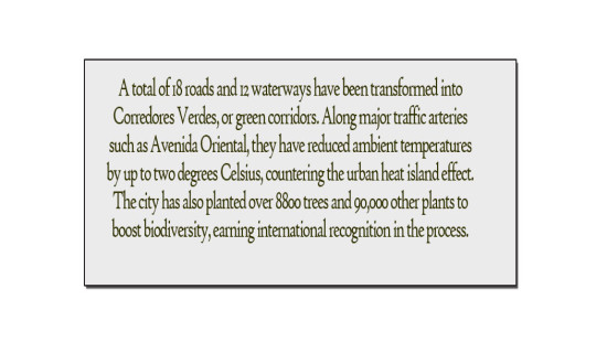 Miracle Of Medellín