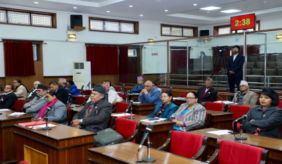 HoR polls: 12.25 million ballot papers printed for FPTP category