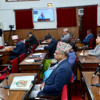 HoR polls: 12.25 million ballot papers printed for FPTP category