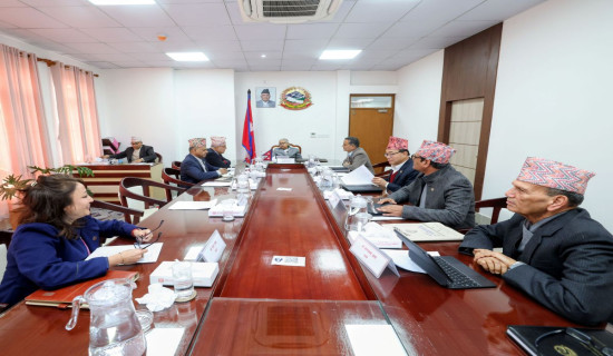 Cabinet decisions: Inquiry Commission's tenure extended for 25 days