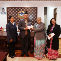 Economic development is priority: DPM Singh