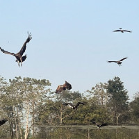 Police, experts warn social media abuse eroding public trust