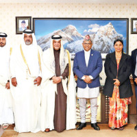 Painkillers prove poisonous for vultures