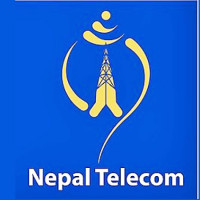 Painkillers prove poisonous for vultures