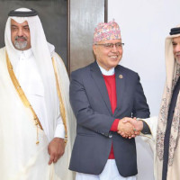 Rhododendrons bloom in Humla as early as January