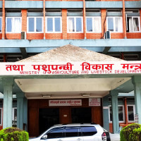 No alternative to election: PM Karki