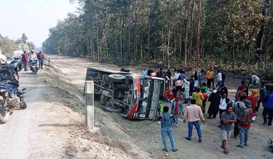 HoR polls: 15.77 million ballot papers printed