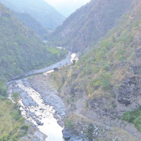 Overnight rains raise hope of paddy plantation