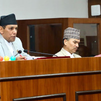 Public transport fares decreased