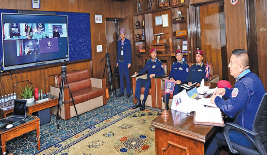 A zoo in Spain helps elderly elephants