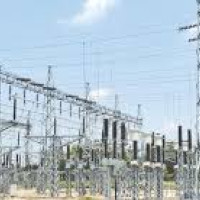 Cardamom exports surge on higher prices, output