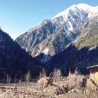 President Paudel arrives in Palpa to observe historic procession